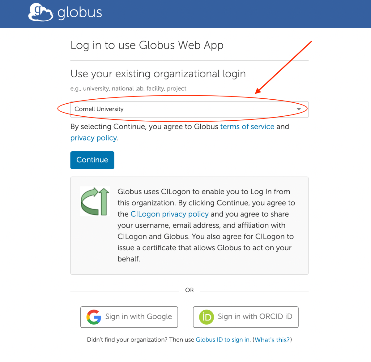 Globus Login diagram