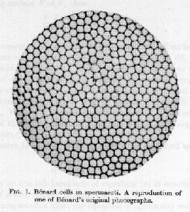 Benard cells